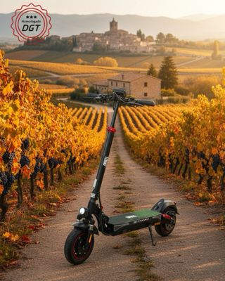 Patinete Eléctrico Zwheel ZRino SE