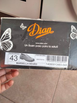 Zapatos de trabajo Dian negros
