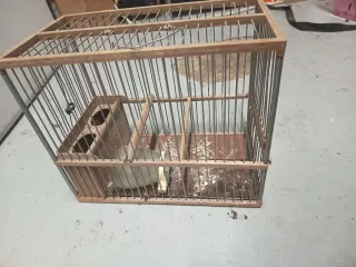 Jaula para pájaros de madera 5€ cada 1