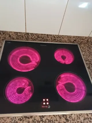 Placa vitrocerámica Fagor + Horno