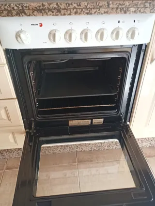 Placa vitrocerámica Fagor + Horno