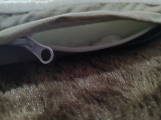 CAMA eléctrica para mascotas grandes