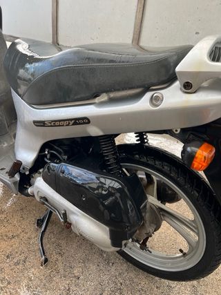 Honda Scoopy 100
