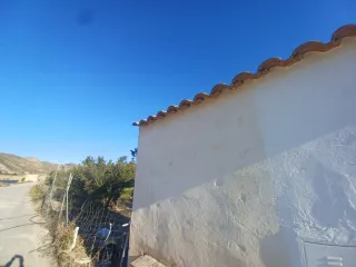 Terreno con olivos y almendros
