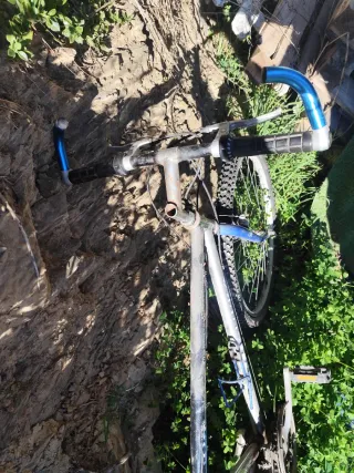 Bicicleta de montaña plateada