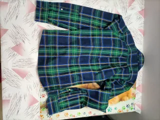 Camisa Abercrombie & Fitch cuadros azul y verde