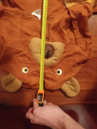 Disfraz Carnaval Oso