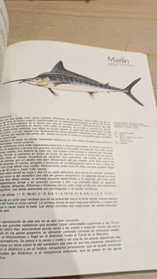 Libro Peces de Mar y Rio