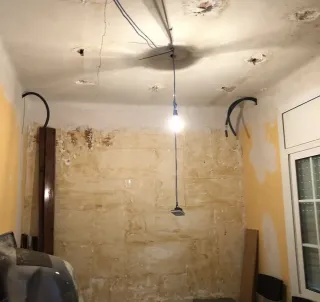 Servicios de pintura profesional