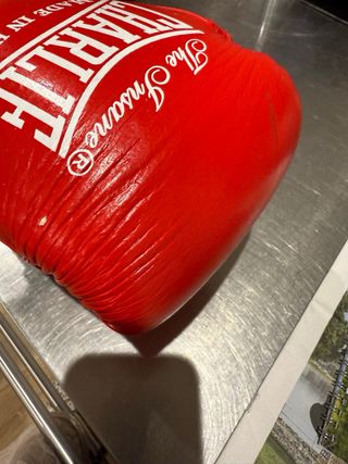 Guantes de Boxeo Charlie Made in Hell 10oz