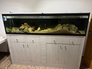 Acuario 500L 200x50x50 con armario a medida