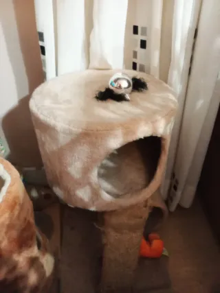 Casa gato  beige, el interior bien el rascador uso