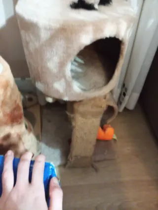 Casa gato  beige, el interior bien el rascador uso