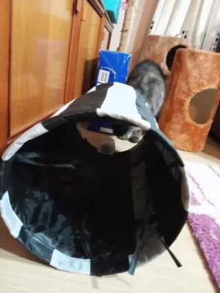 Túnel para gato rayas blanco y negro