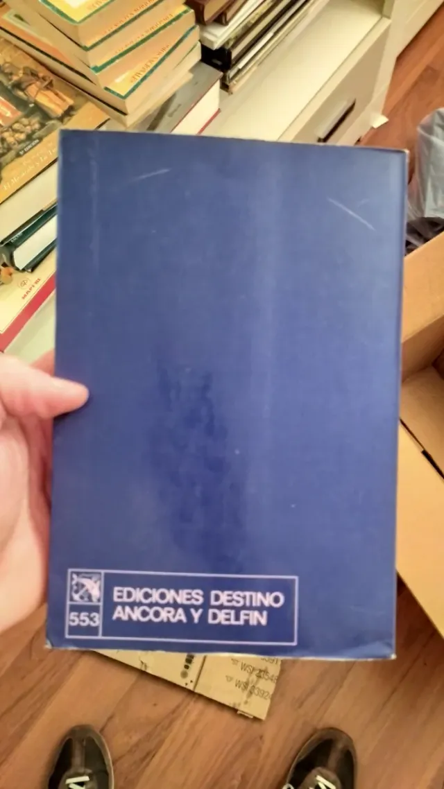 Los ángeles custodios libro