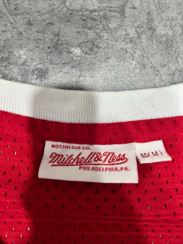 Camiseta Chicago Bulls Dennis Rodman 91