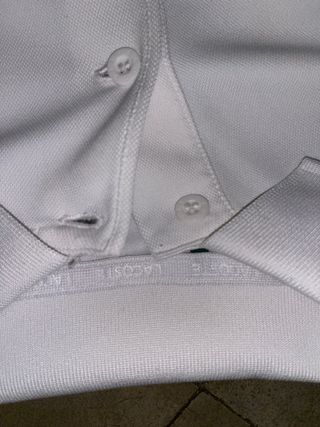 Polo Lacoste blanco y verde