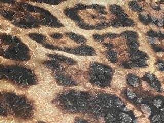 Pantalón Jacquard Animal Print Zara Talla L