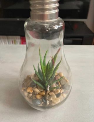 Lámpara Decorativa Bombilla con Planta
