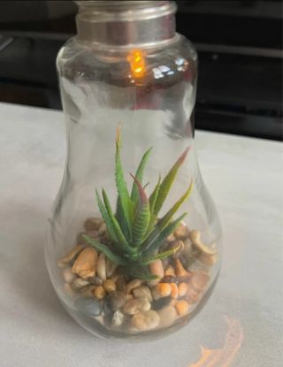 Lámpara Decorativa Bombilla con Planta