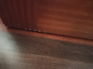 Puerta interior Sapelly abatible