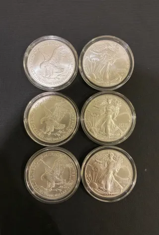 American Eagle 2023 Onza Plata Bullion