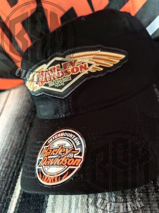 Cappellino Harley Davidson 120 ali