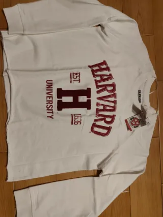 Sudadera Harvard, la H en relieve