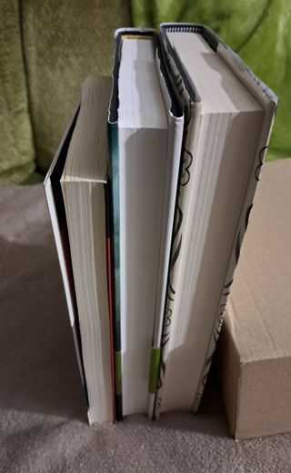 Lote de 3 libros de PILAR RAHOLA