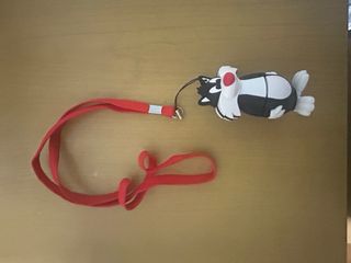 MP3 Player con Auriculares y Lanyard