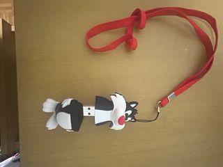 MP3 Player con Auriculares y Lanyard