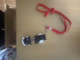 MP3 Player con Auriculares y Lanyard
