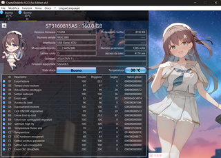 Hard Disk Seagate 160GB SATA 3.5 ST3160815AS