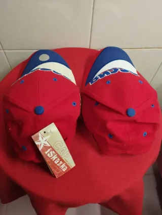 Lote de 2 bonitas gorras