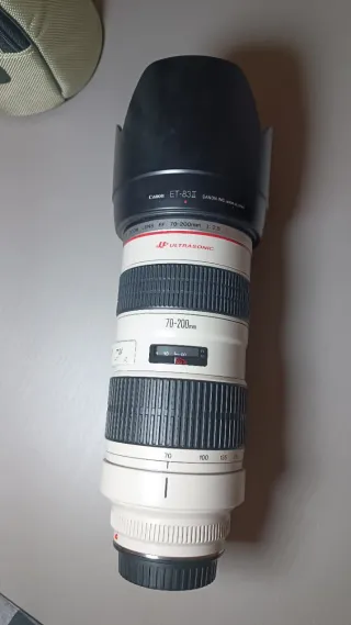Canon EF 70-200mm f/2.8L USM