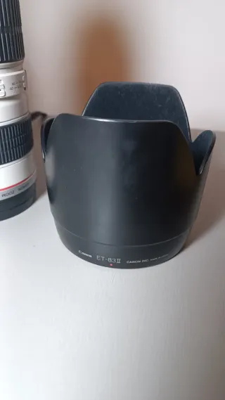 Canon EF 70-200mm f/2.8L USM