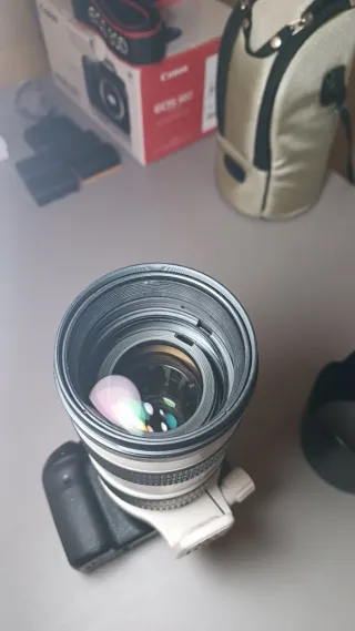 Canon EF 70-200mm f/2.8L USM