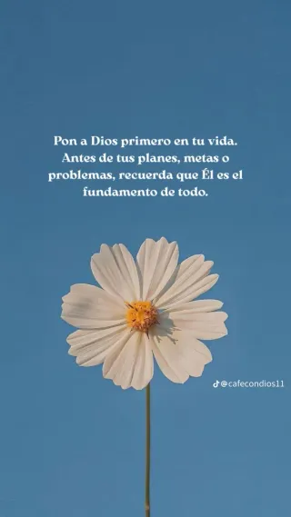 Chica busca trabajo de limpieza por horas.