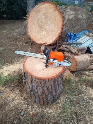 Motosierra Stihl 311