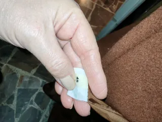 Cappotto Lana Vergine Donna Marrone