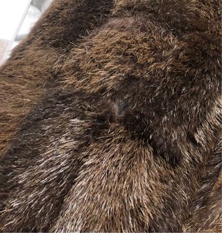 Abrigo de pelo natural Nuevo (Tara) No negociable