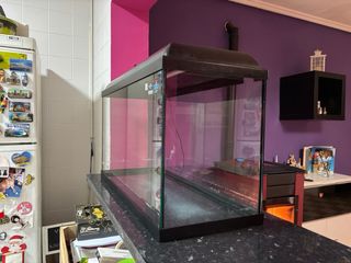 Acuario ICA con iluminación.