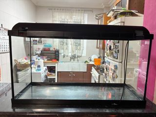 Acuario ICA con iluminación.