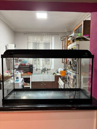 Acuario ICA con iluminación.