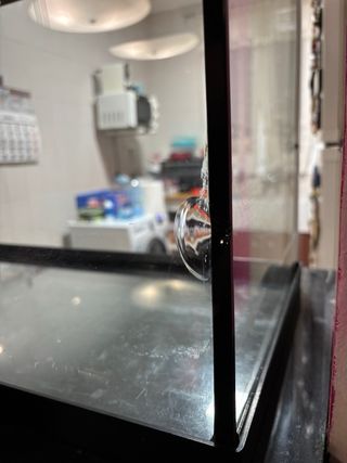 Acuario ICA con iluminación.