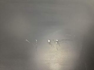 reproductor grabador dvd samsung dvd-sh893