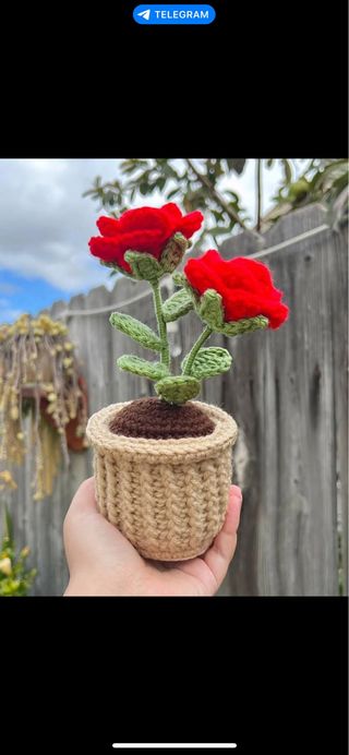 Rosas tejidas a mano en maceta