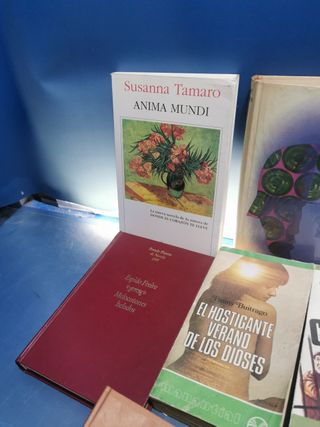 15 novelas variadas contemporáneas