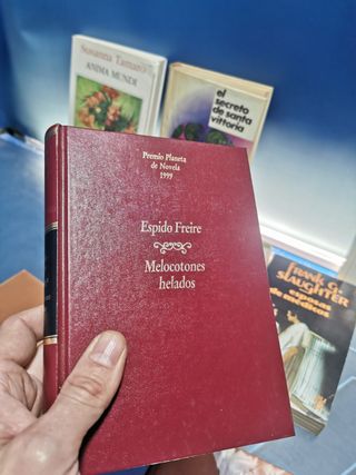 15 novelas variadas contemporáneas