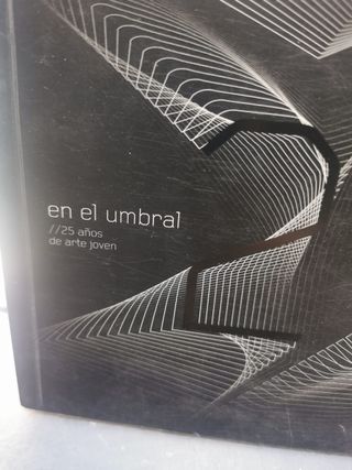 libro, EN EL UMBRAL. 25 AÑOS DE ARTE JOVEN